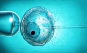 液氮存储